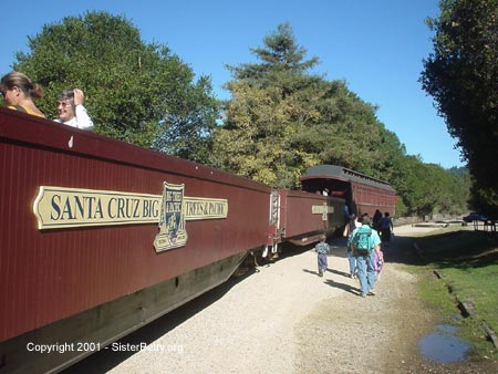 The Big Trees and Pacific Railroad